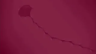 Careless floccus porn 4: friends on a difficulty beach