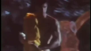 Artex telescópio 1989( 720HD mp4 ) ... Comercial bonito do final dos anos 80 tendo 2 modelos como protagonistas , um homem e uma mulher de nomes ainda desconhecidos .